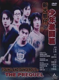 Молодые и опасные: Приквел/San goo waak chai ji siu nin gik dau pin (1998)