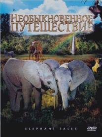 Необыкновенное путешествие: История про двух слонят/Elephant Tales