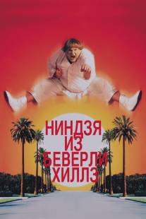 Ниндзя из Беверли Хиллз/Beverly Hills Ninja (1997)