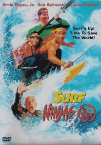 Ниндзя серферы/Surf Ninjas (1993)