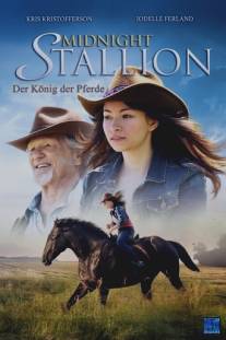 Полночный жеребец/Midnight Stallion (2013)