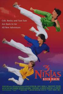 Три ниндзя наносят ответный удар/3 Ninjas Kick Back (1994)