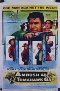 Засада в Томагавк Гэп/Ambush at Tomahawk Gap (1953)