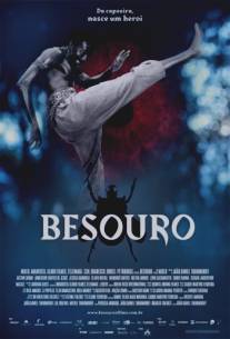 Жук/Besouro (2009)