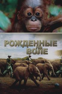 Рожденные на воле/Born to Be Wild (2011)