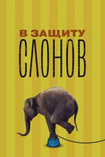 В защиту слонов/An Apology to Elephants (2013)