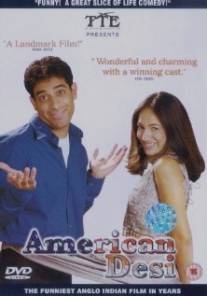 Американские приключения/American Desi (2001)