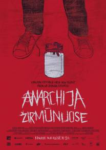 Анархия в Жирмунае/Anarchija Zirmunuose (2010)