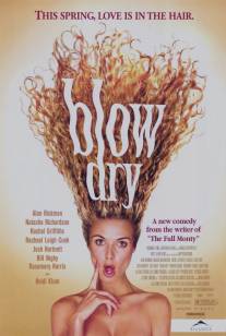 Английский цирюльник/Blow Dry (2000)