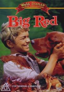 Большой Ред/Big Red (1962)