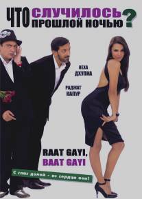 Что случилось прошлой ночью?/Raat Gayi, Baat Gayi? (2009)