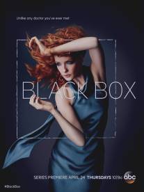 Чёрный ящик/Black Box (2014)