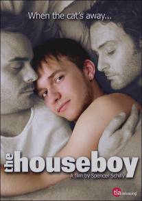 Домашний мальчик/Houseboy, The (2007)