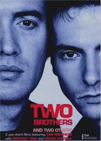 Два брата/Two Brothers (2001)