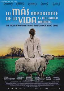 Главное в жизни - не умереть/Lo mas importante de la vida es no haber muerto (2010)