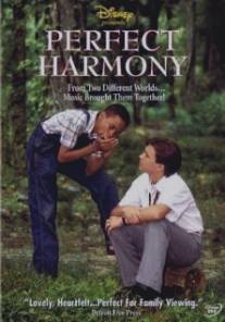 Идеальная гармония/Perfect Harmony (1991)