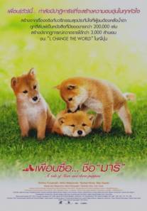 История Мари и трех щенков/Mari To Koinu No Mongatari (2007)