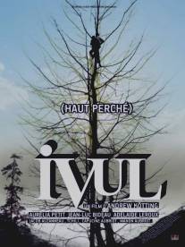 Ивуль/Ivul (2009)