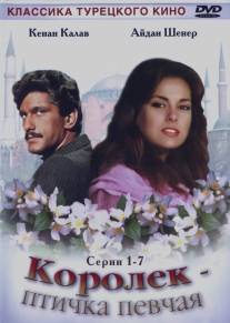 Королёк - птичка певчая/Calikusu (1986)