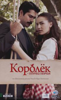 Королёк - птичка певчая/Calikusu (2013)