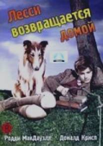 Лесси возвращается домой/Lassie Come Home (1943)