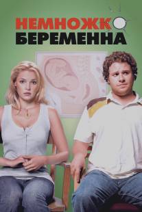 Немножко беременна/Knocked Up (2007)