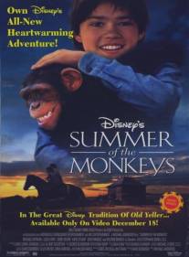 Неприятности с обезьянками/Summer of the Monkeys (1998)