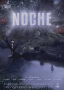 Ночь/Noche (2013)