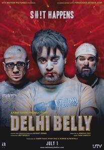 Однажды в Дели/Delhi Belly (2011)