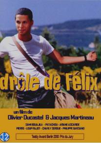 Приключения Феликса/Drole de Felix (2000)