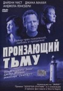 Пронзающий тьму/Blackwater Lightship, The (2004)