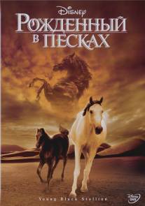 Рожденный в песках/Young Black Stallion, The (2003)