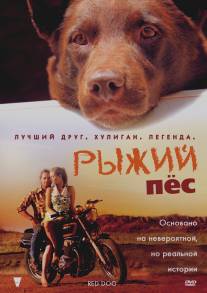 Рыжий пес/Red Dog (2011)