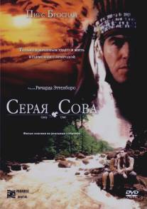 Серая сова/Grey Owl (1998)