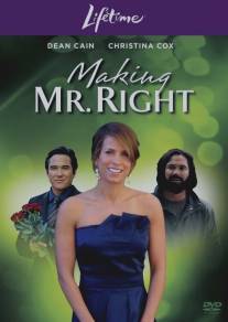 Создать мистера Совершенство/Making Mr. Right (2008)