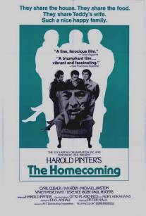 Возвращение домой/Homecoming, The (1973)