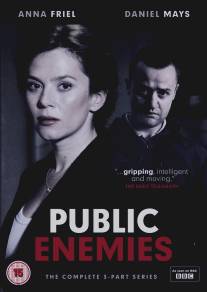 Враги общества/Public Enemies (2012)