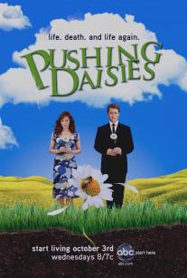 Мертвые до востребования/Pushing Daisies (2007)