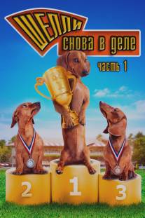 Чемпионат страны среди такс/Wiener Dog Nationals (2013)