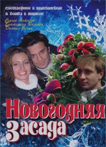 Новогодняя засада/Novogodnyaya zasada (2008)