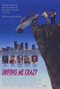 Сумасшедшая история/Driving Me Crazy (1991)
