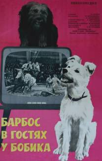 Барбос в гостях у Бобика/Barbos v gostyah u Bobika (1964)