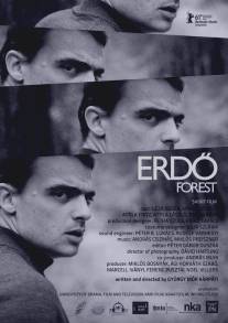 Лес/Erdo (2011)