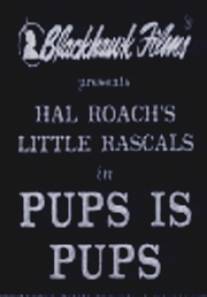 Щенки есть щенки/Pups Is Pups (1930)