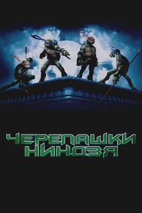 Черепашки-ниндзя/TMNT (2007)