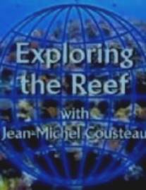 Изучение рифов/Exploring the Reef (2003)