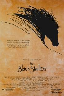 Черный скакун/Black Stallion, The (1979)