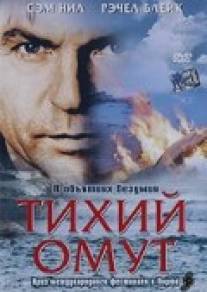 Тихий омут/Perfect Strangers (2003)