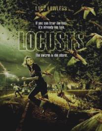 День саранчи/Locusts (2005)