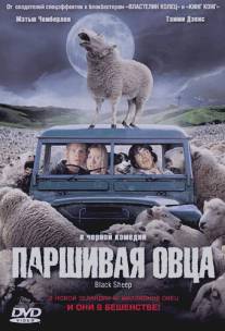 Паршивая овца/Black Sheep (2006)